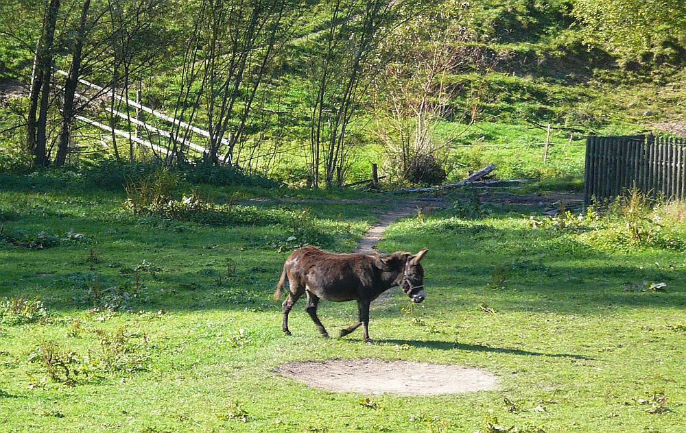 siebenmühlental Eselsmuehle