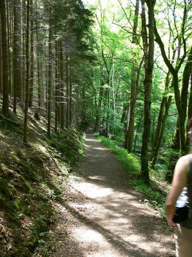 Naturweg Reichenbachertalweg Siebenmühlental 1