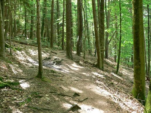 Naturweg Reichenbachertalweg Siebenmühlental 2