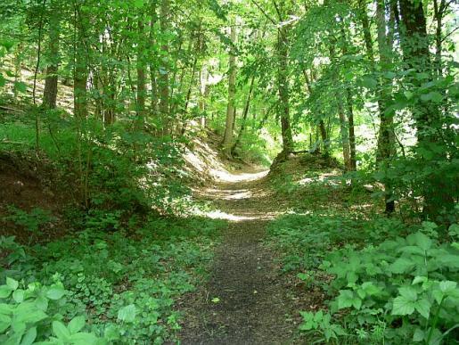 Naturweg Reichenbachertalweg Siebenmühlental 3