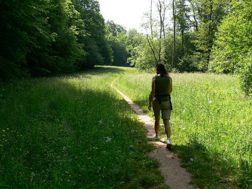 Naturweg Reichenbachertalweg Siebenmühlental 4