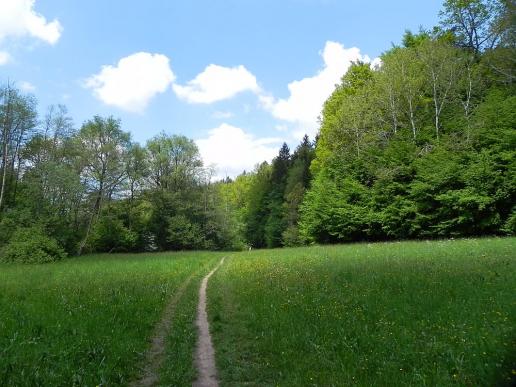 Naturweg Reichenbachertalweg Siebenmühlental 5