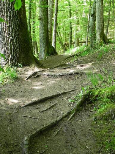 Naturweg Reichenbachertalweg Siebenmühlental 7